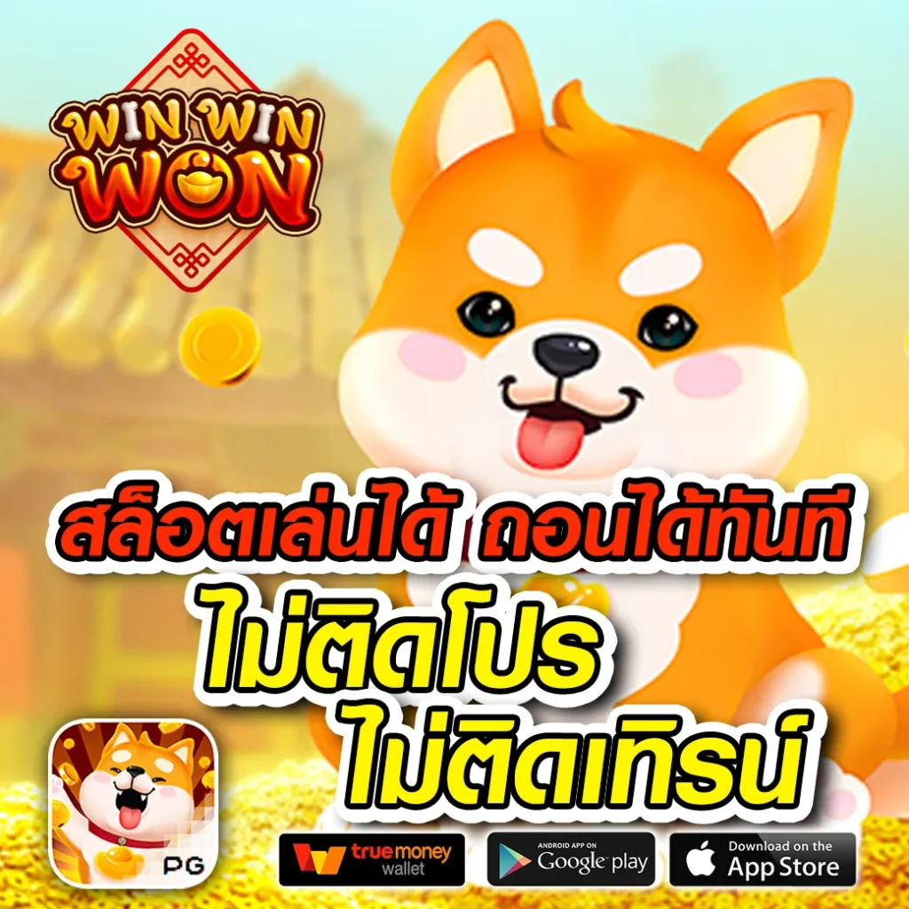 เว็บใหม่ ibz-88